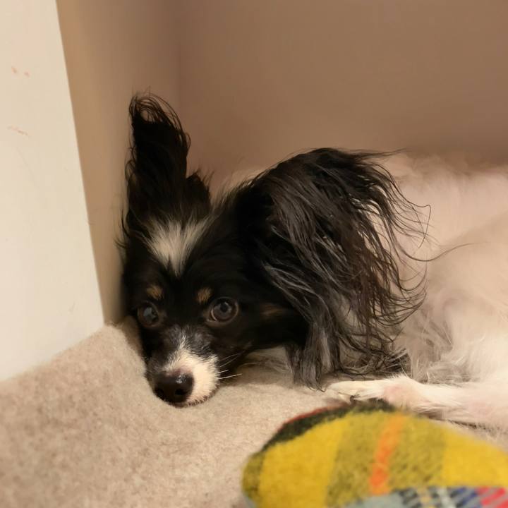 F4d6e656 a4db 4573 ac83 8591f049556b 1569847787975