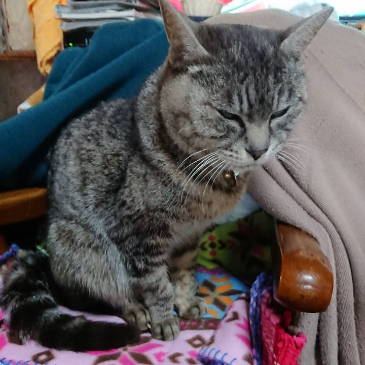 F4d6e83a 1ce8 43c3 8048 03c825ae8791 1553291740818