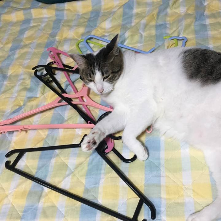 F4d71d13 5793 4f5e 9dcf 0cb13d74dc7b 1529416061895