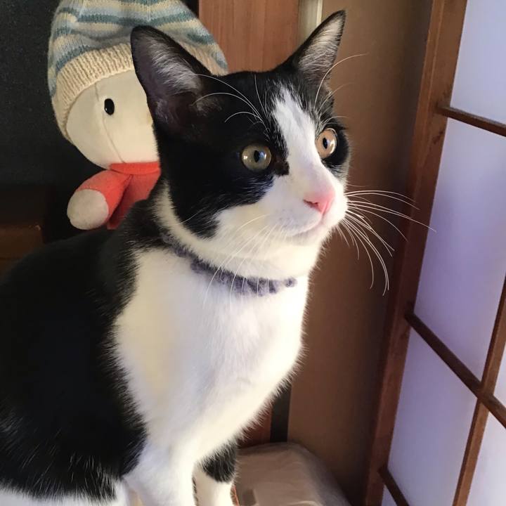 F4d71e41 aaed 426f 9568 2773e946e055 1642405372337