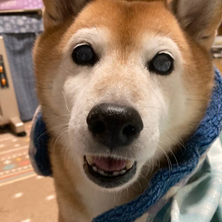 F4d735b9 e28d 42b2 9aa2 1afafcb76796 1730369517045