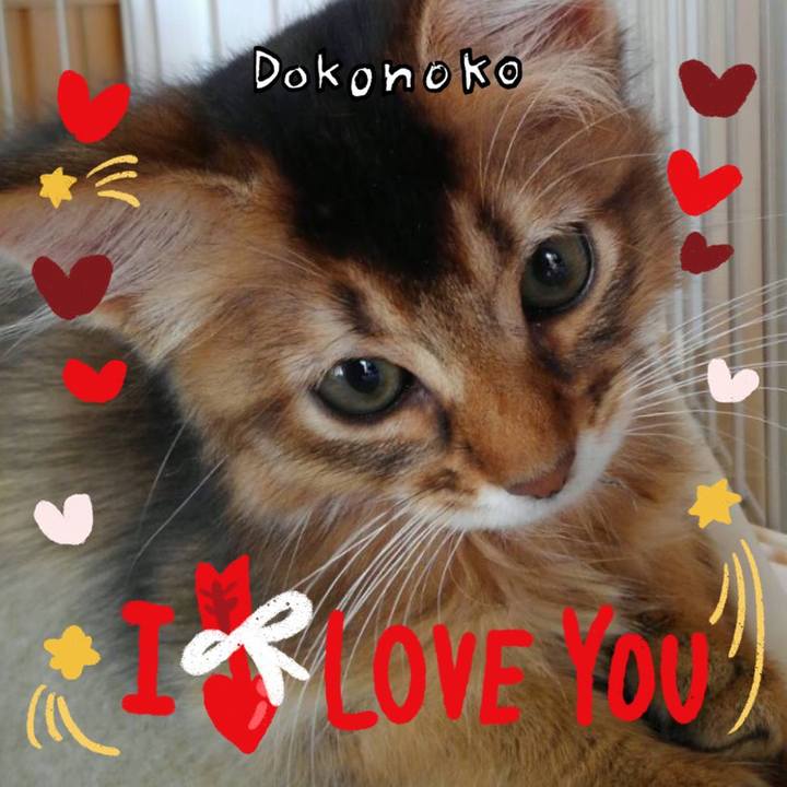 F4d740f9 2b72 4d14 8949 0982371d825e 1706967000462