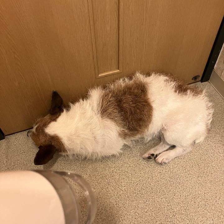 F4d74d0d 2494 4e18 8bd2 7323e1ec05f1 1718148131622