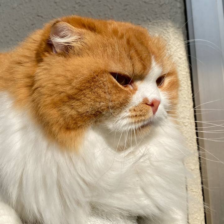 F4d75e32 0a80 4a08 bc61 3af6f890e7c3 1604895225865