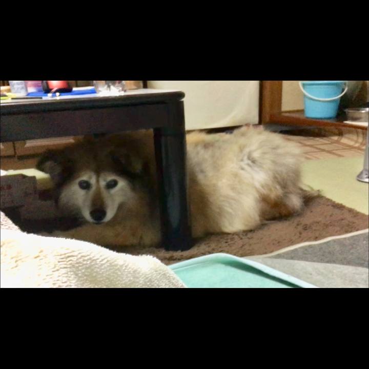 F4d776f7 0d16 49e7 b057 ac7eb828cfbe 1638107923729