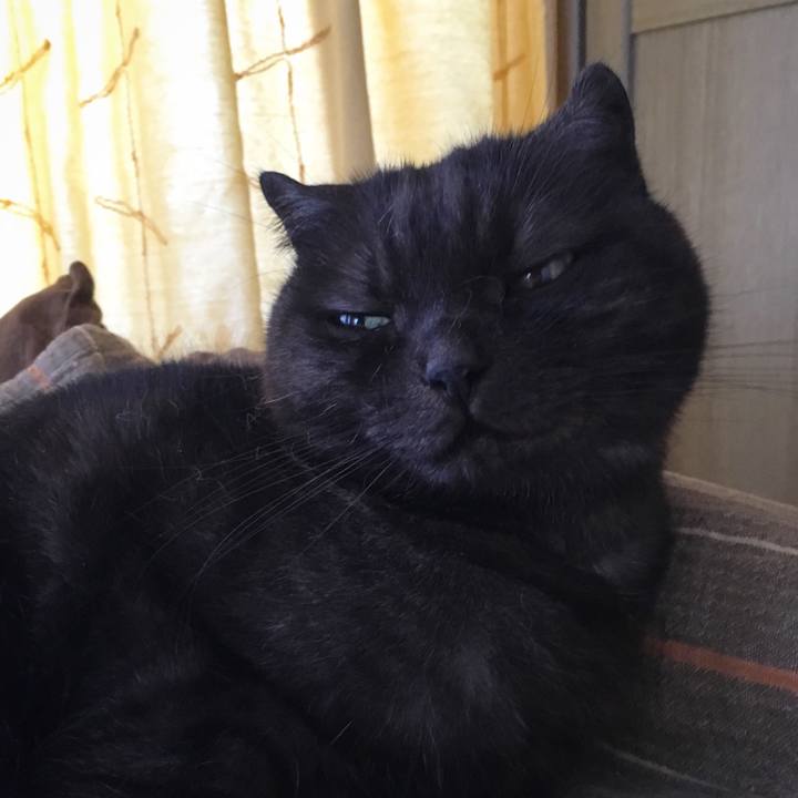 F4d783d6 e035 48a0 bbfc 207f5fd38bf5 1564110968990