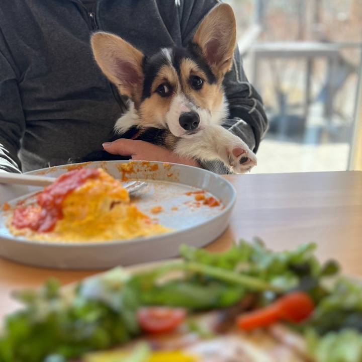 F4d7cf05 a924 4288 a72d 6bdba16da80b 1774096778995