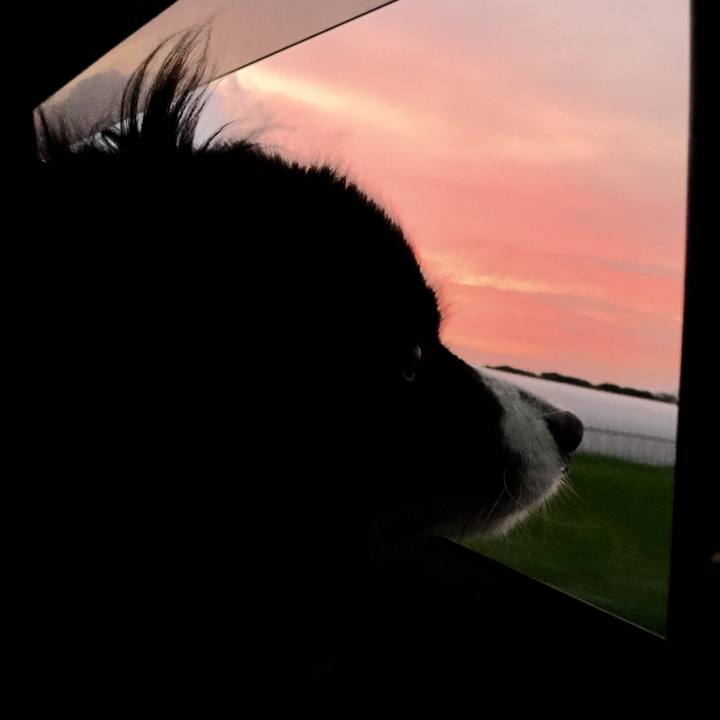 F4d7e2b7 9abb 4759 ac42 ad4a81816943 1567163334562