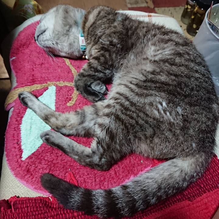 F4d7e63d 2274 4a30 9031 9a5bcec51f87 1567248008462