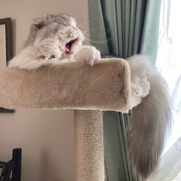 F4d7e6dd 7c0e 4258 bd82 af49c9bf7abf 1649460527854