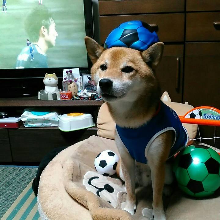 F4d8014d 1313 48e7 92f1 4db97e8a7660 1567680588676