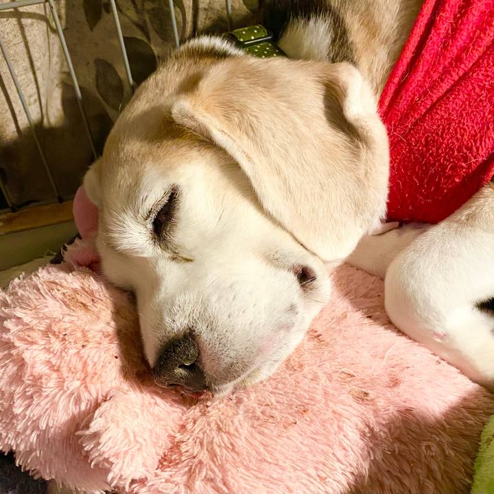 F4d84f52 5466 4c5d 9ae2 fc4e38492341 1668256798337