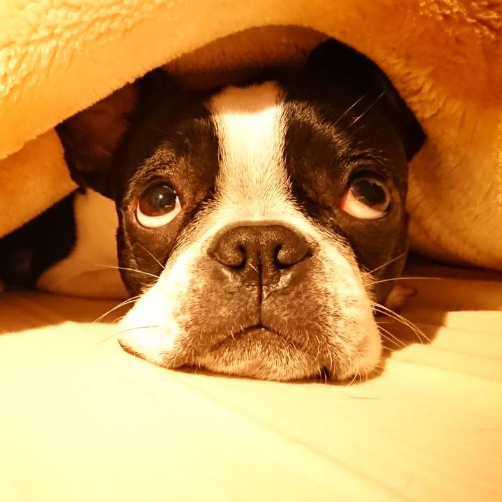 F4d86522 dbdb 4c2f b7a7 fc6415072dc1 1521374301978