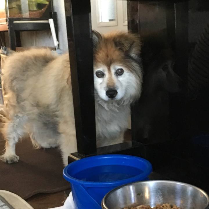 F4d870be f965 4fb8 b4ba 0b38f54f84cf 1556492411128