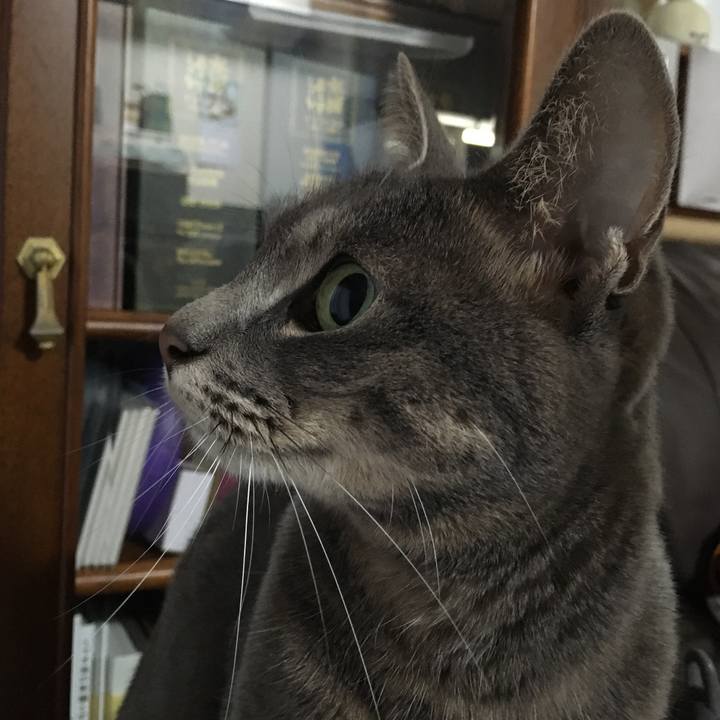 F4d8a7b5 f6ab 41b0 8496 e067798a1723 1574723854084