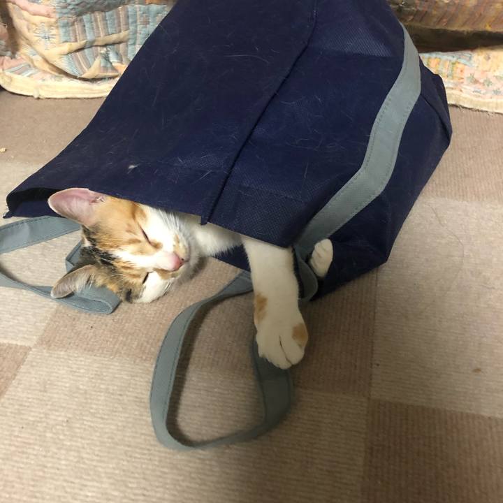 F4d8a93e 2893 4baa 9986 50208f382d6c 1591105063096