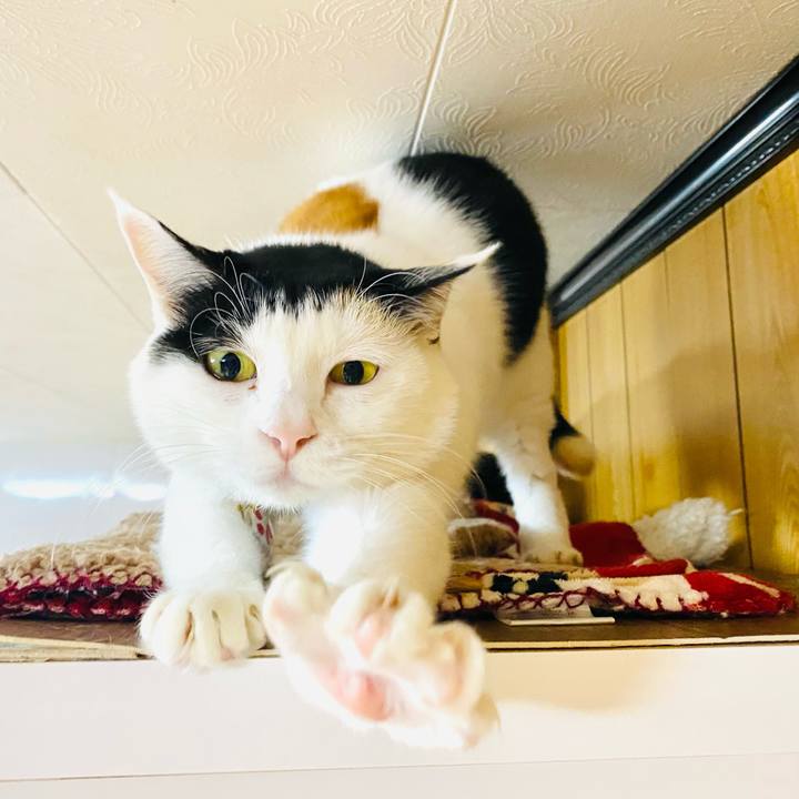 F4d8c556 3897 4f2c a922 8f7295ddb198 1704978553210