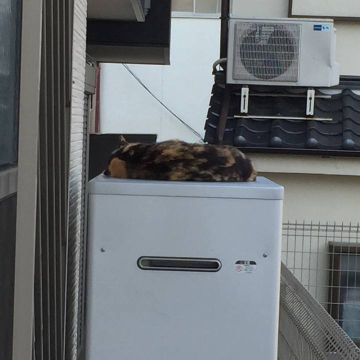 F4d8c92f fef3 47bb 94eb e364cd338305 1529567173175