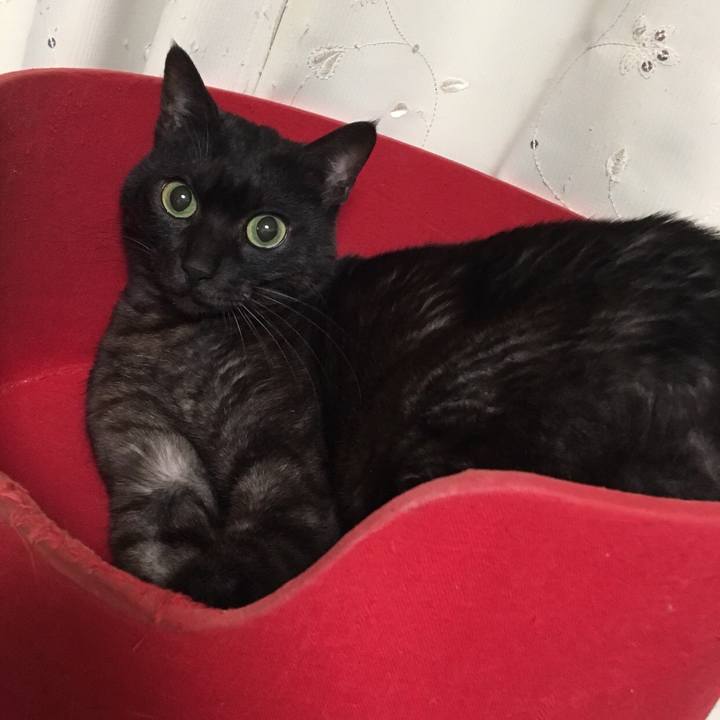 F4d8d8bd 07e6 4eac 85c2 3488586ec09c 1551012893123