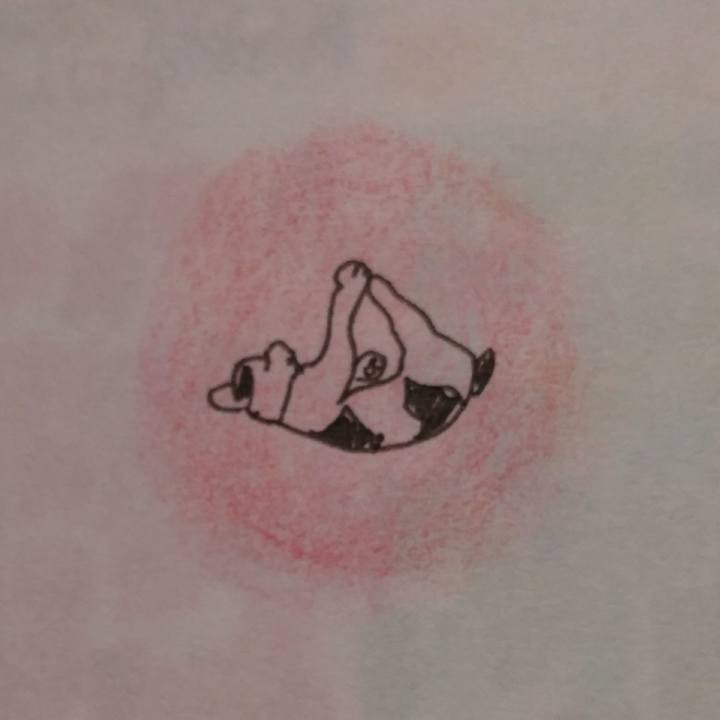 F4d8e1e5 fba2 4d08 9bdb 33dde1651c83 1535542578572