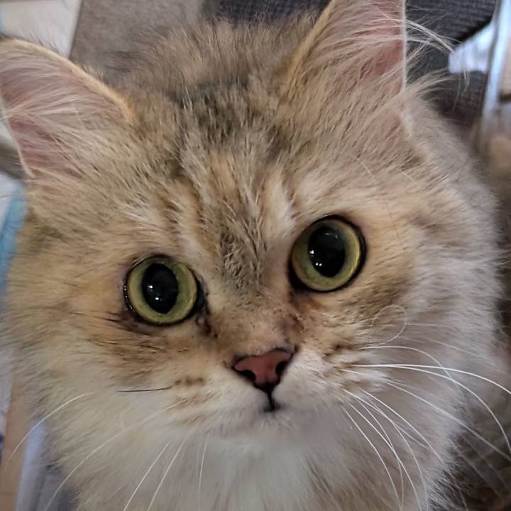 F4d9268d bcfe 4361 928a 7a1e9ed84e4c 1723557961145