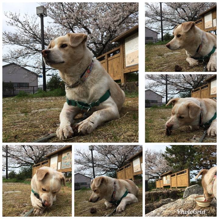 F4d9531c e152 4501 b14a 87949553589c 1522044466596