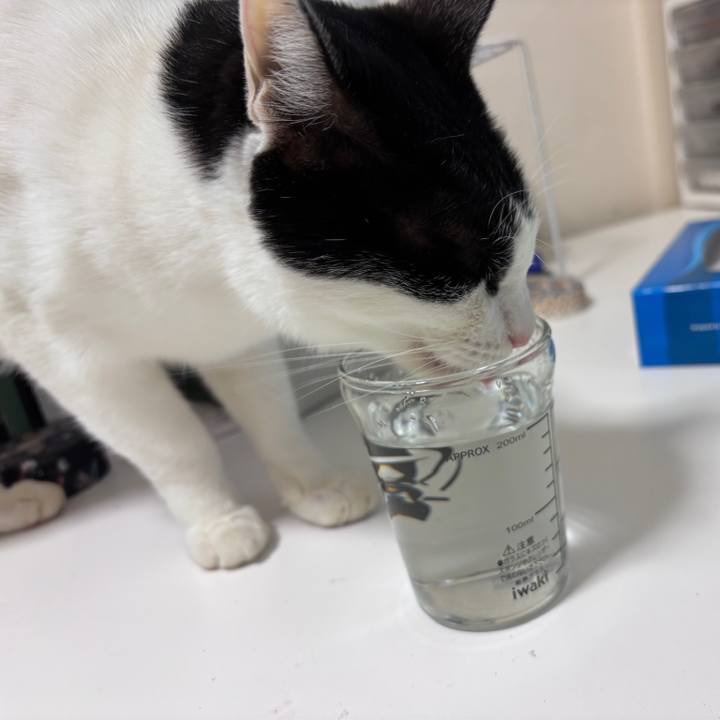 F4d9825a 541b 4b0b 936f ce9a8062738c 1766069562107