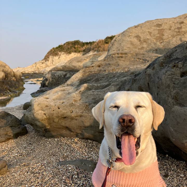 F4d991e8 9924 42a4 be68 6662d2882a17 1678325649328