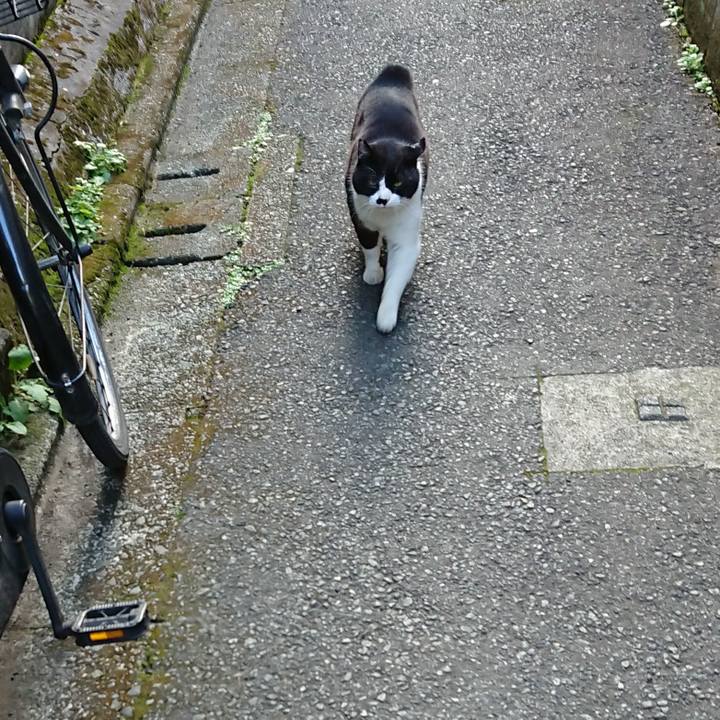 F4d99a5e dd60 4269 a966 67221bd7b543 1680075954145