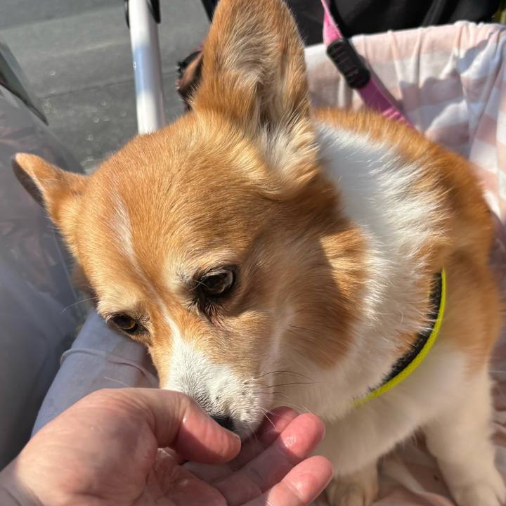 F4d9d887 d6a9 4d73 82f8 7dbcde86edcc 1742179494963