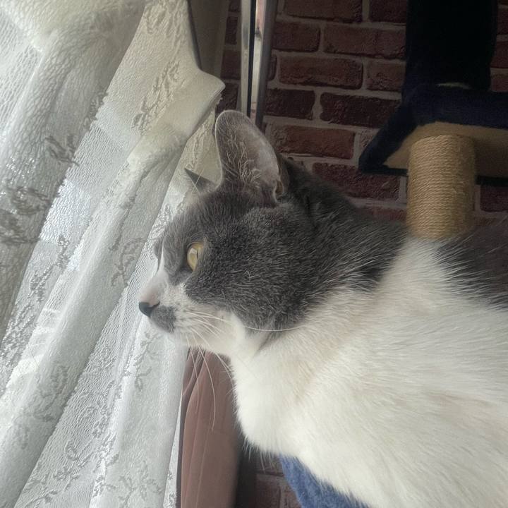 F4da00d3 cc6b 4534 a0de 1d72fa4014d3 1682301375825