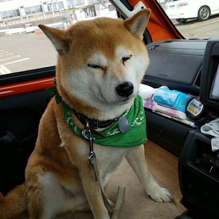 F4da09f1 8122 4772 8677 e24fce715476 1523624488046