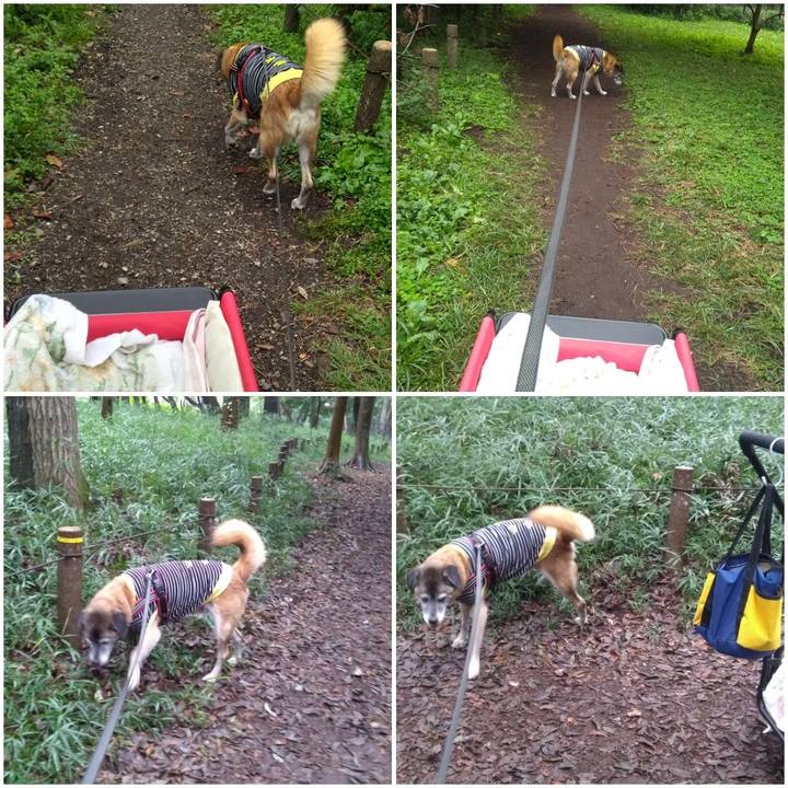 F4da4fb6 0596 444c a3c2 04af28255d92 1570751671726