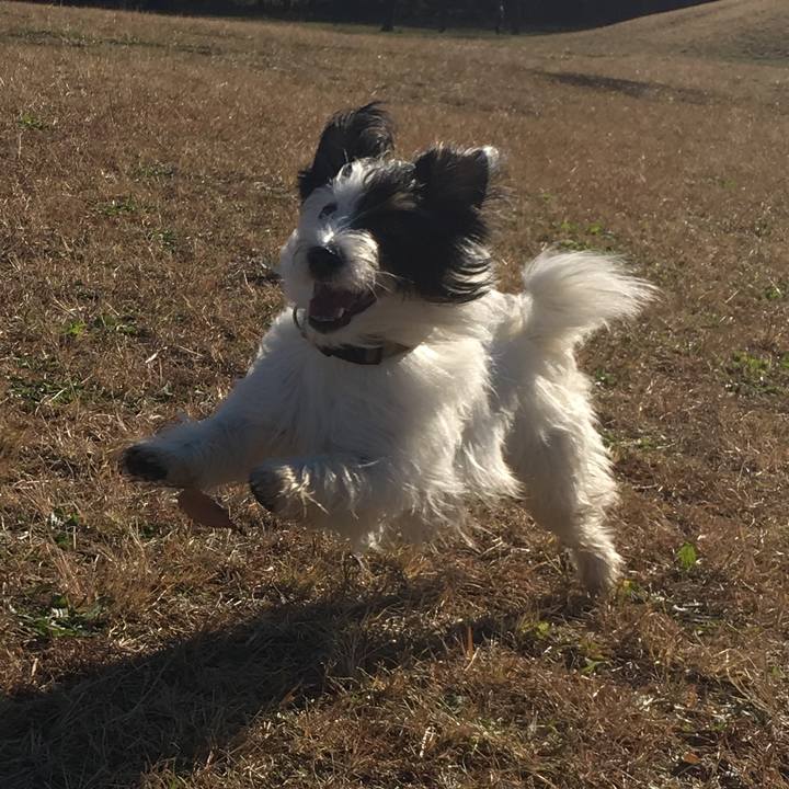 F4da5720 a7f8 4fab b4e2 6c5feedfdc9c 1512684406602