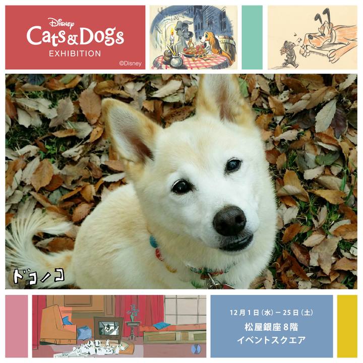 F4da6b38 767f 4365 9b80 dc0976b5e3ac 1638593545625