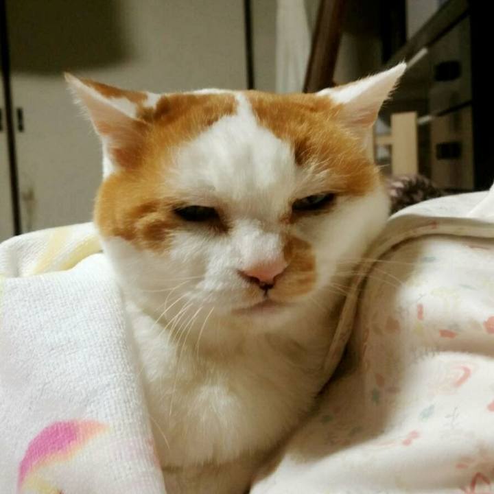 F4da6f54 7346 4b20 9b8f f00b26aa6cba 1516977263655