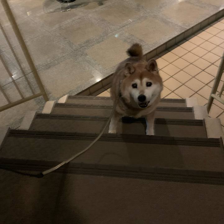 F4da8032 1b54 4227 8c2c 4bb2fff0af8f 1572260336259