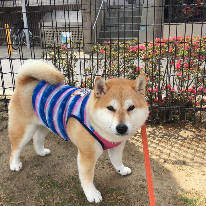 F4da923e 087d 4386 88db c7a639efbdf9 1555816487469