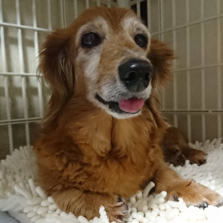 F4daeaac bcce 485c b0e3 4b6ffc33f876 1577638618339