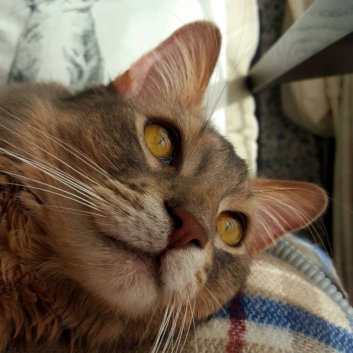 F4db15d2 3acd 4173 829b 4fe088ff1094 1515908024874