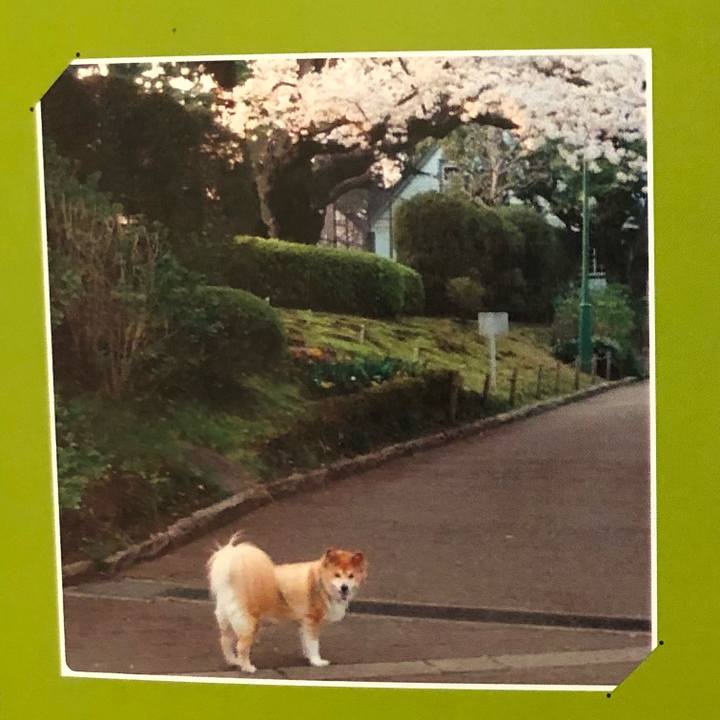 F4db7c3f 91ea 4f4e 9ef8 acd09e35479a 1585734661988