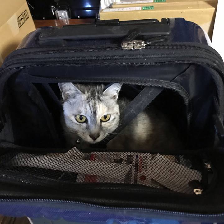 F4db7df3 a83e 4875 a16c f14575977b1e 1615807907421