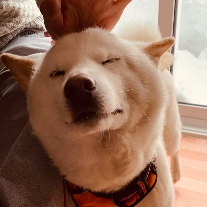 F4dc0204 e1ea 42c2 9c68 52150a6c4f31 1675839698351