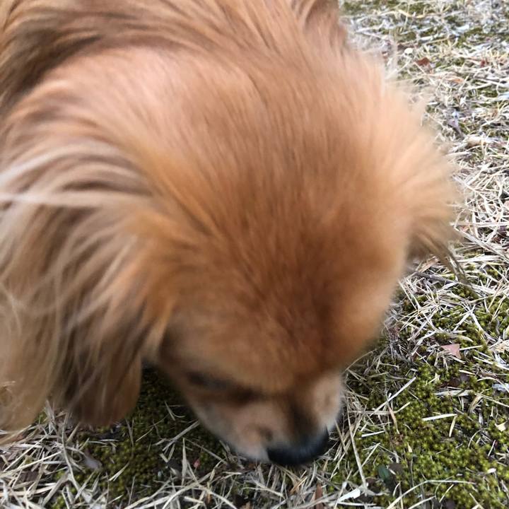 F4dc13c4 83b5 4517 993f f0ff6ca364d0 1551048965980