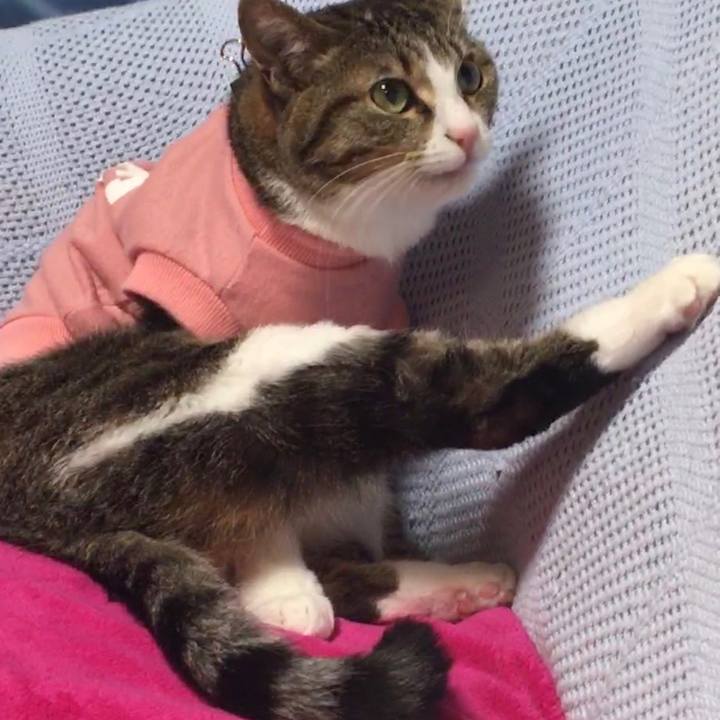 F4dc1a25 7fd1 444f b9d6 9a2db13e68ac 1676524828974