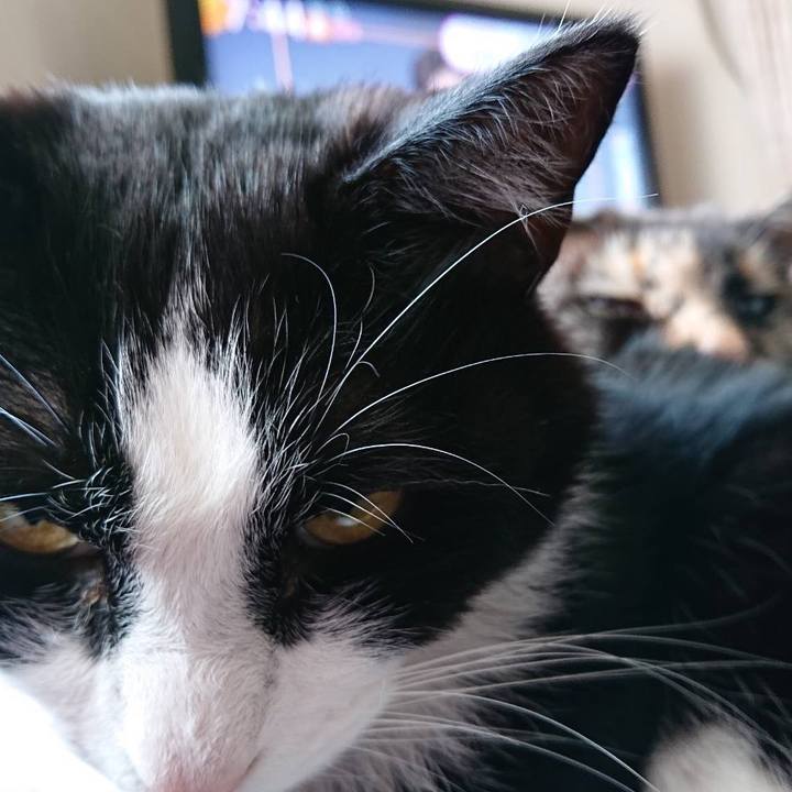 F4dc1c1b 1ddc 466c 81d3 d863deef8ea3 1619228105652