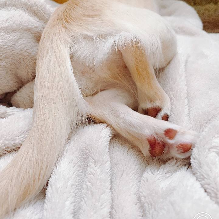 F4dc1d59 f212 47cb a97a f545dec44a5e 1596587073428