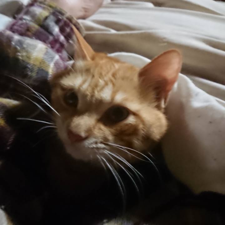 F4dc20a0 c70e 4d58 a2d3 8e392d1f4b93 1645390786512