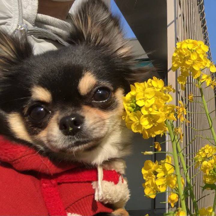 F4dc20de f875 446a ac10 5e056b189c49 1551425106948