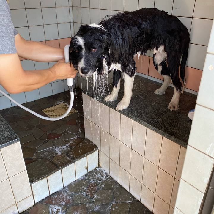 F4dc5265 46ed 4103 b085 a1acaac818ad 1687262812873